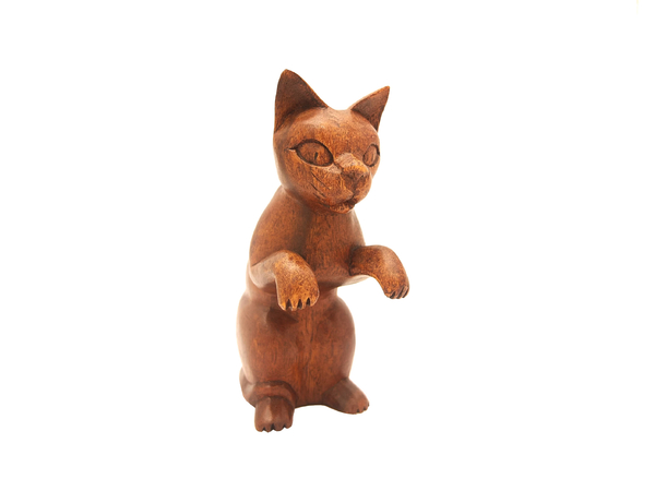 Кошечки суара, 27 моделей (кс-34)
