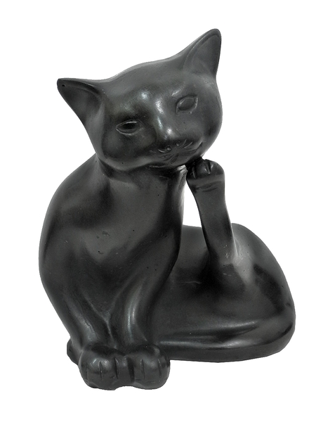 Резинг: кошечка (р-493)