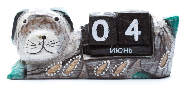 Календарь собачка много цветов(ка-41)