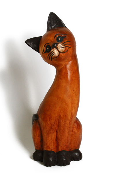 Кот манговый (км-62а)