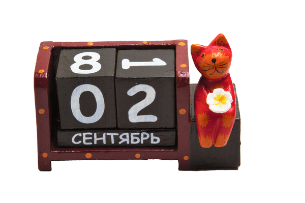 Календарь кот сидит с цветком ( ка-39)